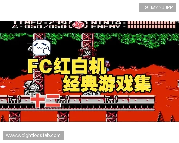 FC电游经典游戏推荐：适合不同玩家的热门游戏排行榜