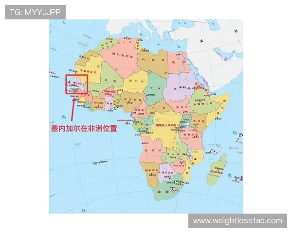 加拿大与卡塔尔世界杯比赛场馆位置全景图及周边环境介绍